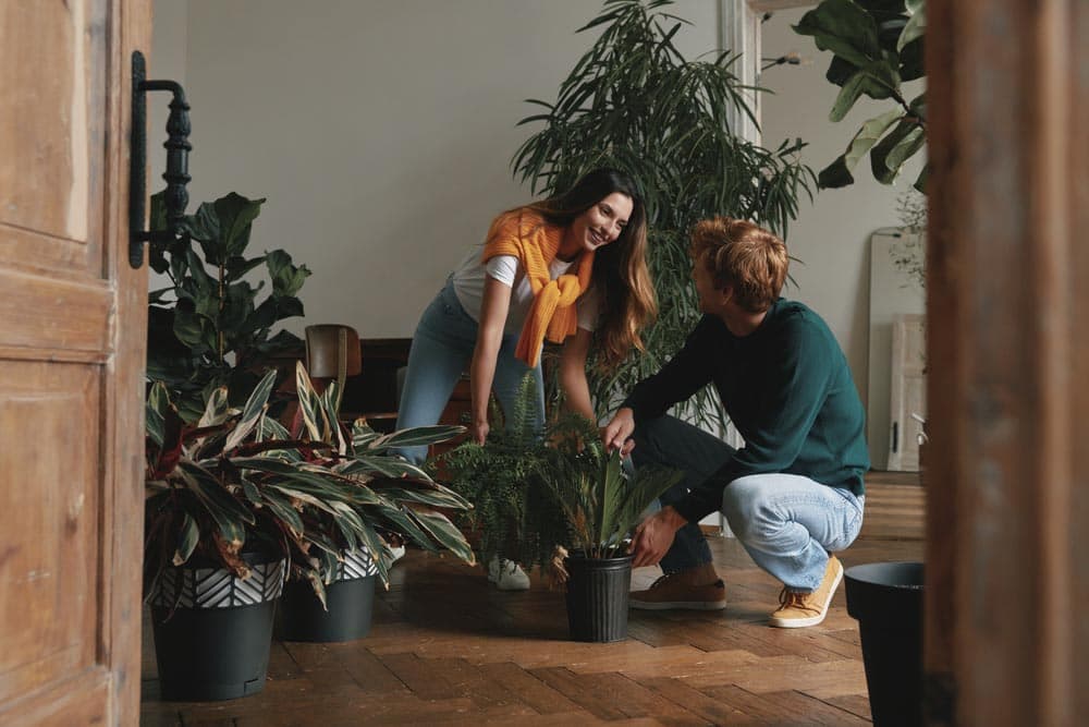 Tenants Guide